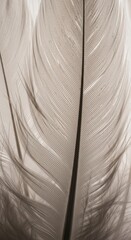 Close-up of delicate feather with intricate patterns and fine details