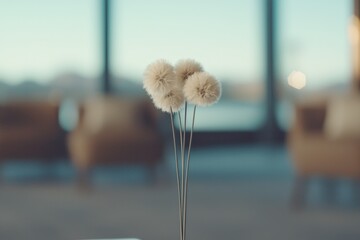 A minimalist arrangement of fluffy decorative stems stands elegantly in a modern interior, showcasing a blend of nature and contemporary design.