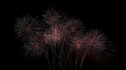 Fototapeta premium Colorful fireworks burst brightly in the night sky during a festive celebration, showcasing various patterns and colors above a dark backdrop