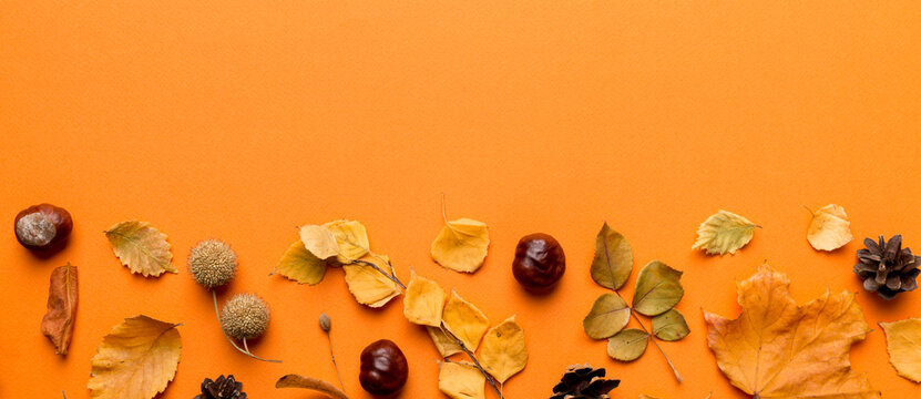 Autumn composition. Pattern made of dried leaves and other design accessories on table. Flat lay, top view - Powered by Adobe