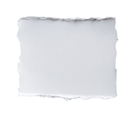 White ripped paper square
