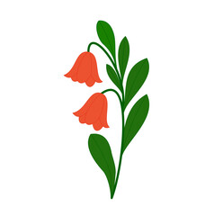 Simple Orange Bellflower Illustration with Green Leaves