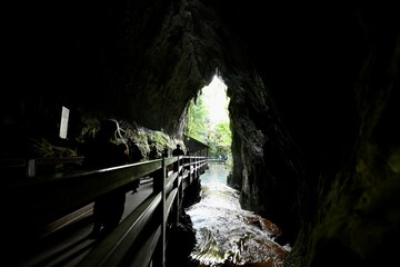 山口の観光地の秋芳洞と秋吉台