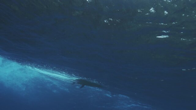Underwater rearview of surfboard dragging across surface of wave at Cloudbreak Fiji
