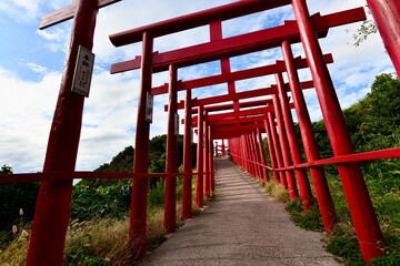 日本の山口の赤の鳥居の元乃隅神社