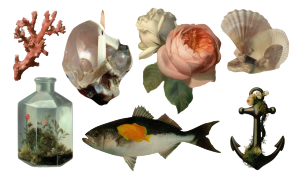 Vintage Aesthetic Collage with Isolated Objects, Floral Elements, and Marine Inspiration