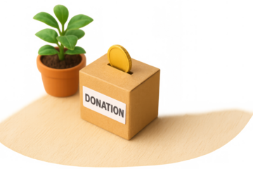 Cardboard donation box with donation label receiving a gold coin, next to a small green plant in a pot, illustrating giving and growth