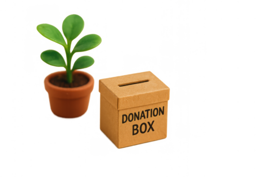 Donation box promoting charity and growth, standing next to a green potted plant, on transparent background - Powered by Adobe