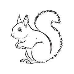 Curious Squirrel Line Art Illustration Nature Drawing Wildlife Sketch Cute Animal Outline Woodland Creature Easy Craft