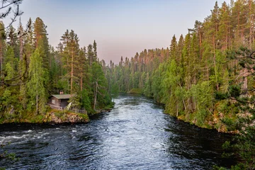 Fototapete Rund Wald Fluss river in the forest  © Artem