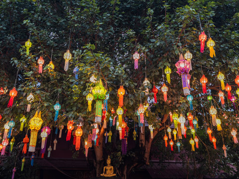 Vibrant Lanna lanterns illuminate a lush Bodhi tree during a spiritual festival in Thailand, casting a warm glow over a serene golden Buddha statue. A festive atmosphere of culture and tradition.
