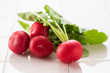 ラディッシュ