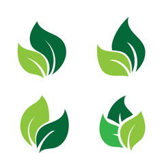 Minimalist vector illustration of four stylized leaves in green v3