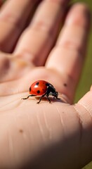 A close-up of a ladybug crawling on a person's hand outdoors in natural sunlight, showcasing detailed textures and vibrant colors of the insect and skin