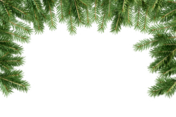 christmas tree branches border frame on white

