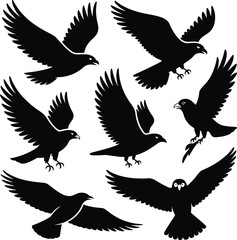 Obraz premium Black bird silhouettes in flight flying wings spread
