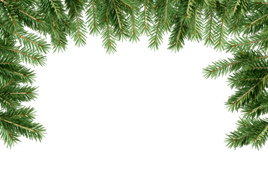 christmas tree branches border frame on white
