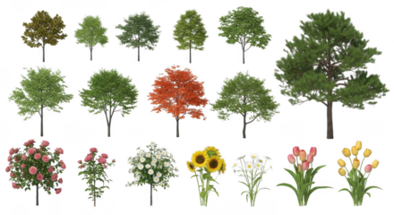 Tree isolated on transparent background