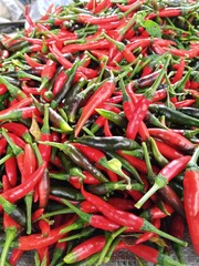 red hot pepper is in the market