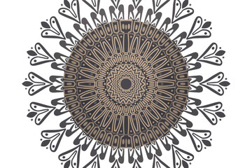 Intricate mandala pattern design decorative element with floral motifs vector illustration isolated on white background