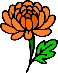 Vibrant  chrysanthemum flower illustration. Autumn, Japanese, or floral design element.