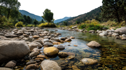 Green flowing mountain river and stream through rocks and forest landscape