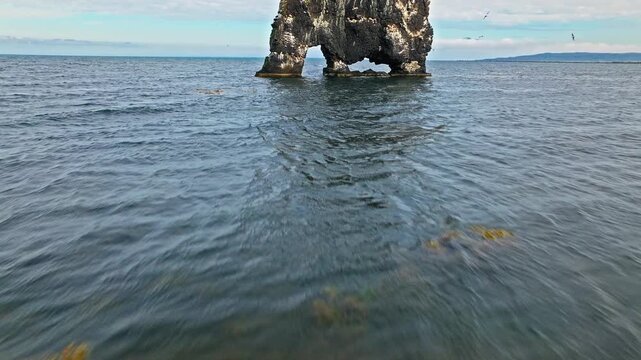 Drone aerial of Hvítserkur sea stack, North Iceland. Iconic basalt rock rising from the sea along the Vatnsnes Peninsula.