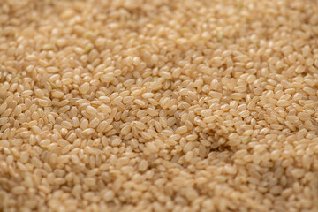 玄米のクローズアップ【背景・バックグラウンド】