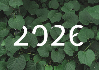2026 New year white text hidden in natural green leaves wall