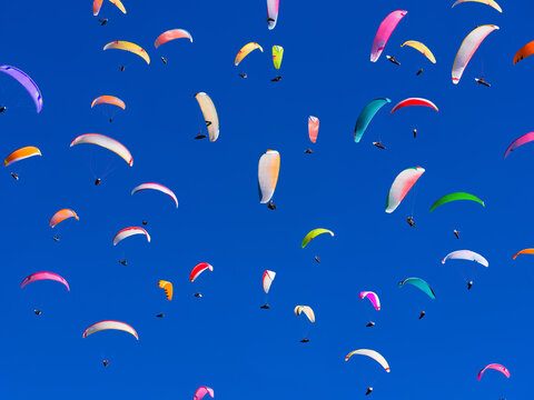 Team paragliding training. Extreme sports. Parachute flight. Multicolored parachutes against a clear sky. Sports competition. Background, postcard, wallpaper.