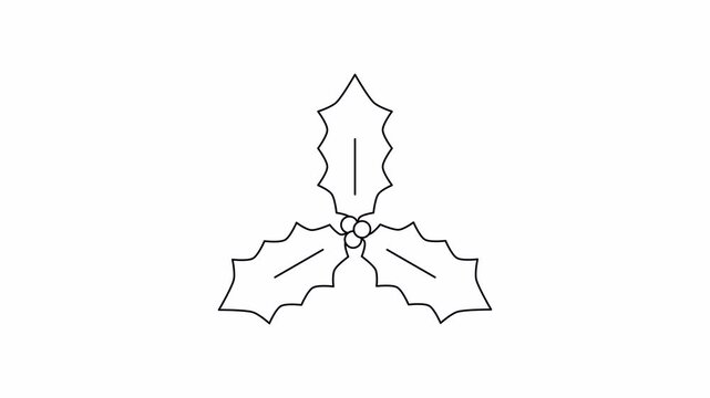 Holly leaves berries flat black and white animation. Video clip with alpha channel.