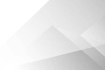 White and gray abstract minimalist artistic modern background. texture white pattern. vector illustration