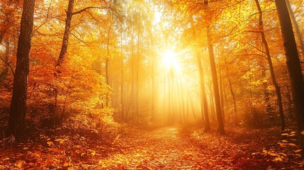 Fototapeta premium Discover a stunning autumn forest adorned with golden leaves and illuminated by soft sunlight, creating a breathtaking natural background.