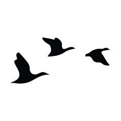 🦆 Black Silhouette of a Flock of Wild Birds in Flight Migration