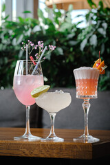 Three cocktails—pink gin and tonic with flowers, a margarita with lime, and a frothy pink drink with cherry and orange—rest on a wooden table with green plants and a grey couch. 