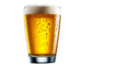 Tall glass of golden lager beer with frothy head