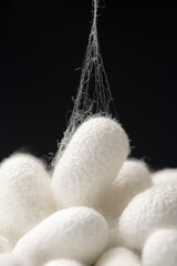 黒い背景に沢山の繭玉のアップ