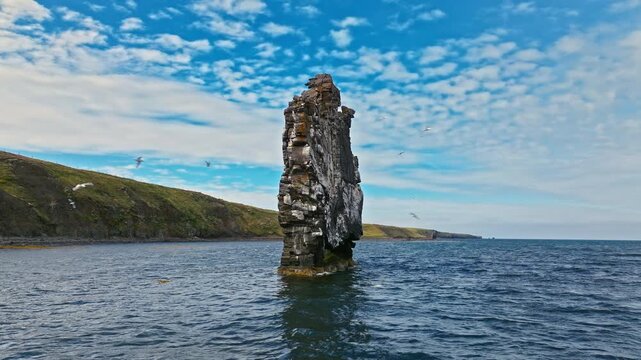 Drone view of Hvitserkur rock and coastline, Iceland. Basalt sea stack near Vatnsnes Peninsula cliffs.