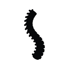 Human spine silhouette vector icon anatomy illustration vertebral column health care
