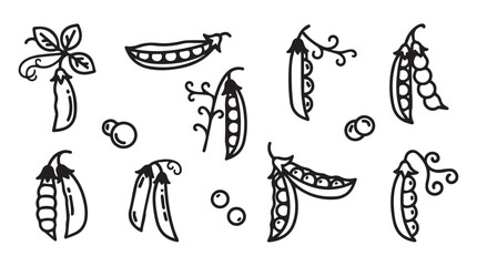 Collection of hand drawn pea pods and peas in a charming silhouette style