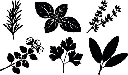 Herbal leaves silhouette set with various aromatic plant leaves and branches vector illustration 