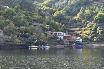 Fototapeta premium Otoño en la Ribeira Sacra (Lugo).