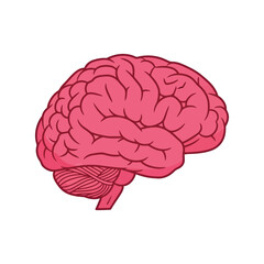 Cartoon human brain illustration for intelligence, thinking, and mental health concepts
