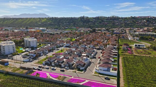 Aerial establishing fly Ovalle Town, Chile, Limari Valley Neighborhood, vineyard landscape