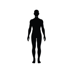Human body silhouette front view | anatomy diagram vector | placeholder outline