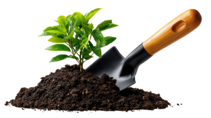 Cultivating Growth: A young sapling, nurtured by a gardener's spade, sprouts from a rich bed of soil, symbolizing the promise of new life and the rewards of dedicated care.