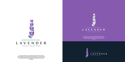 lavender flower logo, symbol of beauty, natural benefits, aroma, vector graphic illustration © dhulpikir