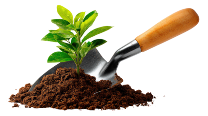 Nurturing Growth: A trowel rests amidst fertile soil, gently cradling a young seedling ready to flourish. It symbolizes new beginnings and growth.