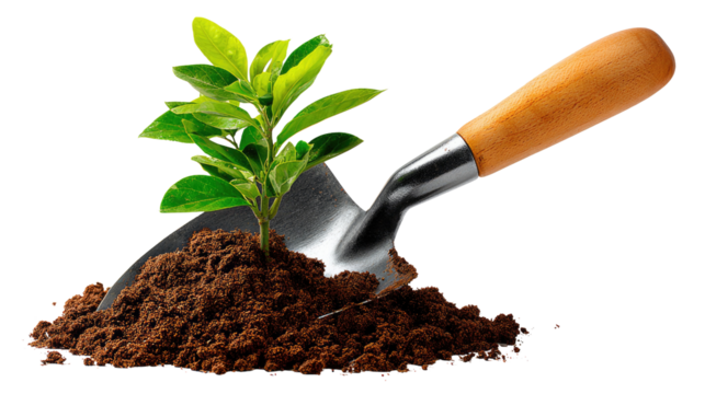 Nurturing Growth: A trowel rests amidst fertile soil, gently cradling a young seedling ready to flourish. It symbolizes new beginnings and growth.