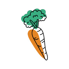 Hand drawn carrot with green leaves and orange root.